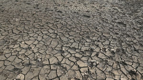 The dry, cracked bed of Scammonden Reservoir, revealed by the falling water level, is pictured west of Huddersfield, in northern England on July 17, 2022. - Sputnik International