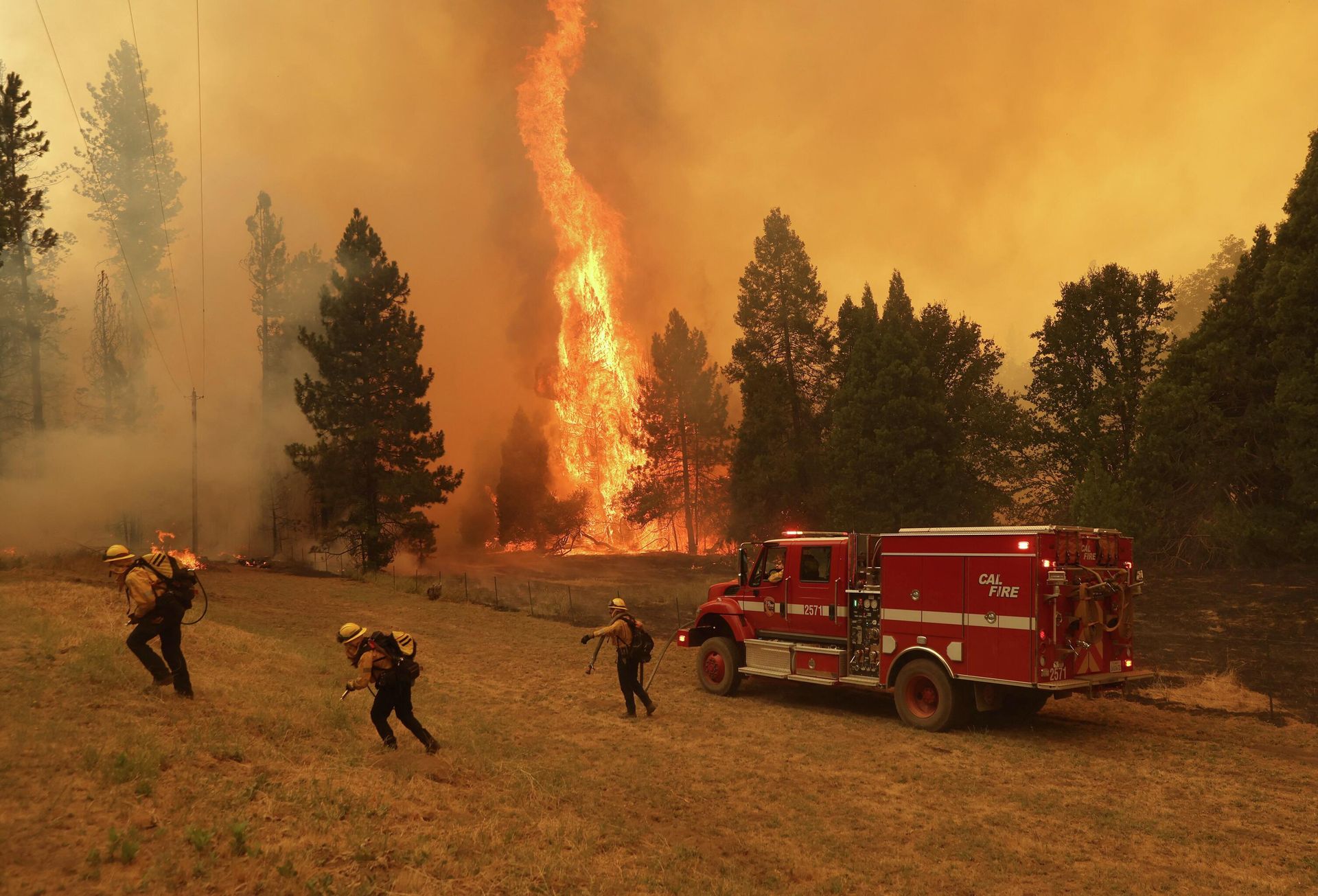 Cal Fire firefighters battle the Oak Fire on July 23, 2022 near Mariposa, California. The fast moving Oak Fire burning outside of Yosemite National Park has forced evacuations, charred over 11,500 acres and has destroyed several homes since starting on Friday afternoon. The fire is zero percent contained. - Sputnik International, 1920, 24.07.2022