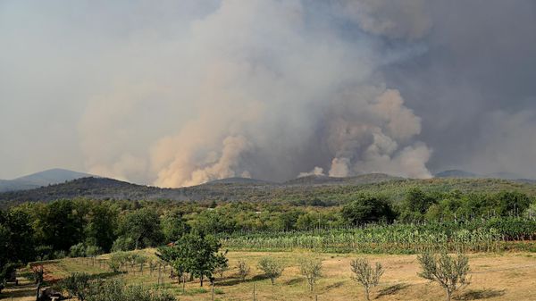 This photograph taken on July 22, 2022, shows a cloud of smoke rising as wildfires rage in the forest close to the village of Kostanjevica na Krasu on July 22, 2022. - Hundreds of firefighters were deployed in western Slovenia to battle a blaze that forced the evacuation of several villages, emergency services said - Sputnik International