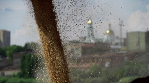 Wheat is loaded aboard a cargo ship in the international port of Rostov-on-Don to be shipped to Turkey, on July 26, 2022 - Sputnik International