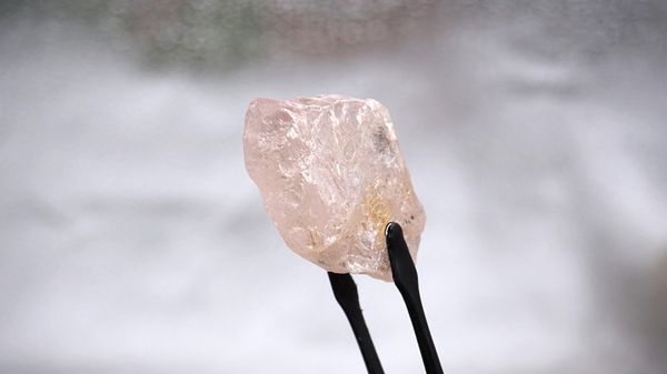 This undated handout picture released by Lucapa Diamond Company Limited on July 27, 2022 shows a 170 carat pink diamond -- dubbed The Lulo Rose -- that was discovered at the Lulo mine in Angola's diamond-rich northeast region. - Sputnik International