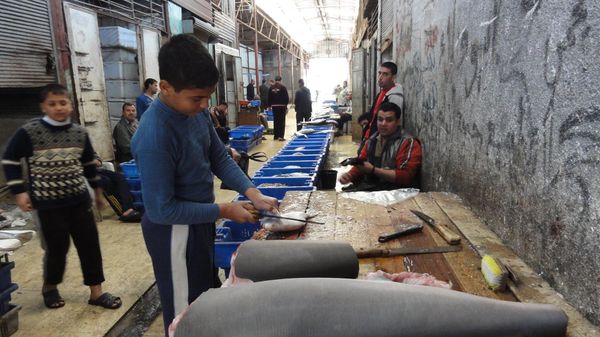 Gaza Fish Market - Sputnik International
