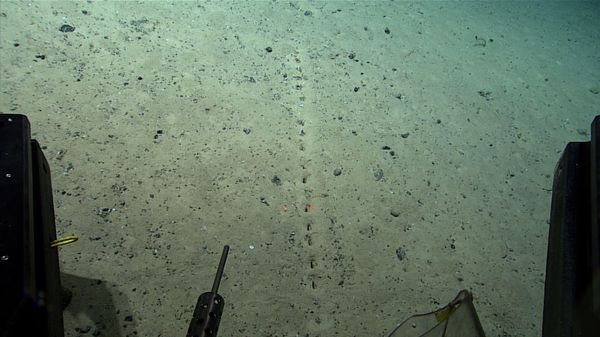 Strange holes in the ocean floor. - Sputnik International