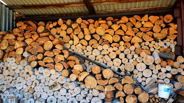 Firewood - Sputnik International