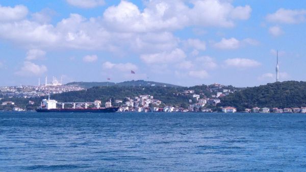 The first commercial vessel that left Ukraine under the Black Sea grain deal was inspected in Istanbul on Wednesday and cleared to proceed to Lebanon, the Joint Coordination Center (JCC) said - Sputnik International