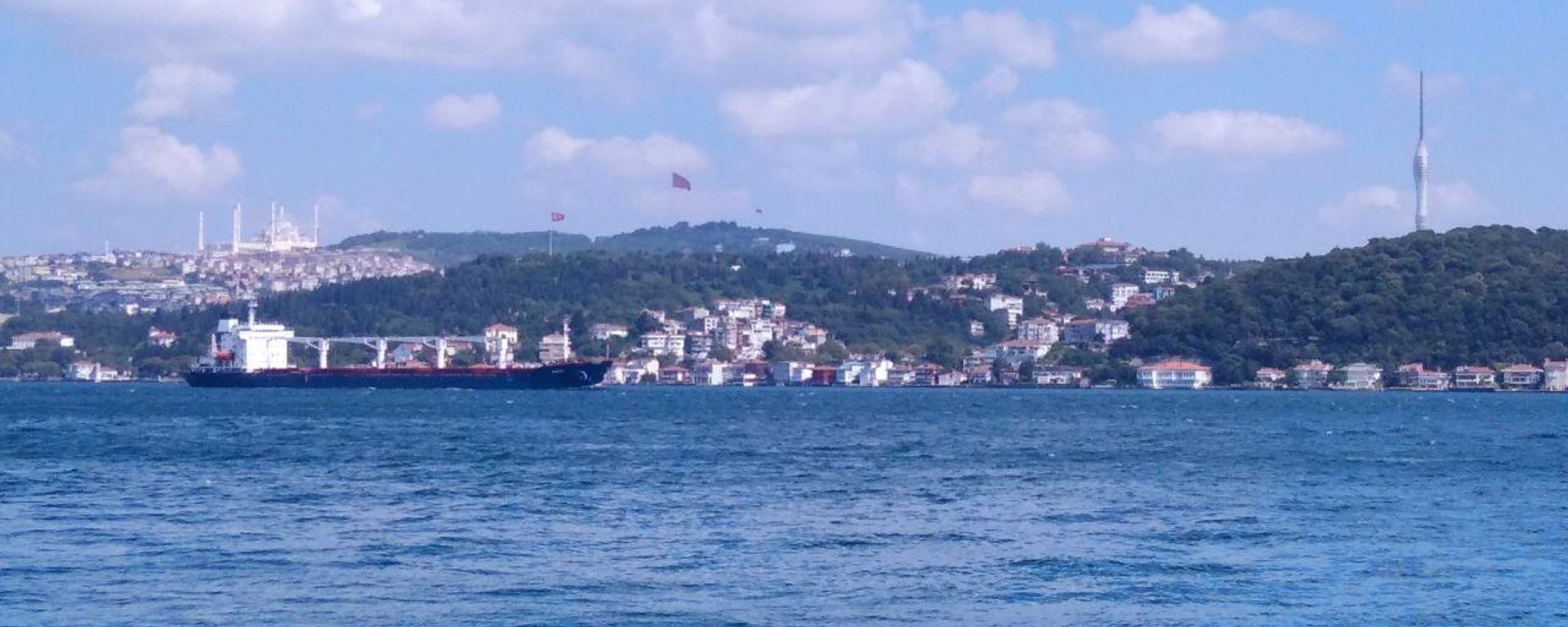 The first commercial vessel that left Ukraine under the Black Sea grain deal was inspected in Istanbul on Wednesday and cleared to proceed to Lebanon, the Joint Coordination Center (JCC) said - Sputnik International, 1920, 24.07.2023