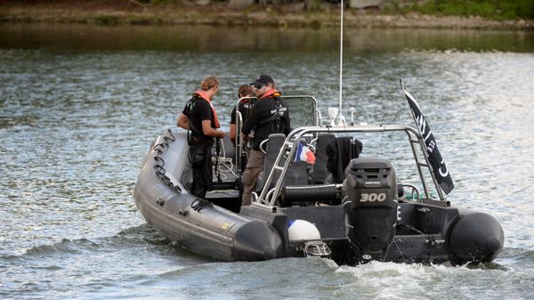 Members of the Sea Shepherd NGO looks for a beluga whale, which was spotted while swimming up France's Seine river - Sputnik International