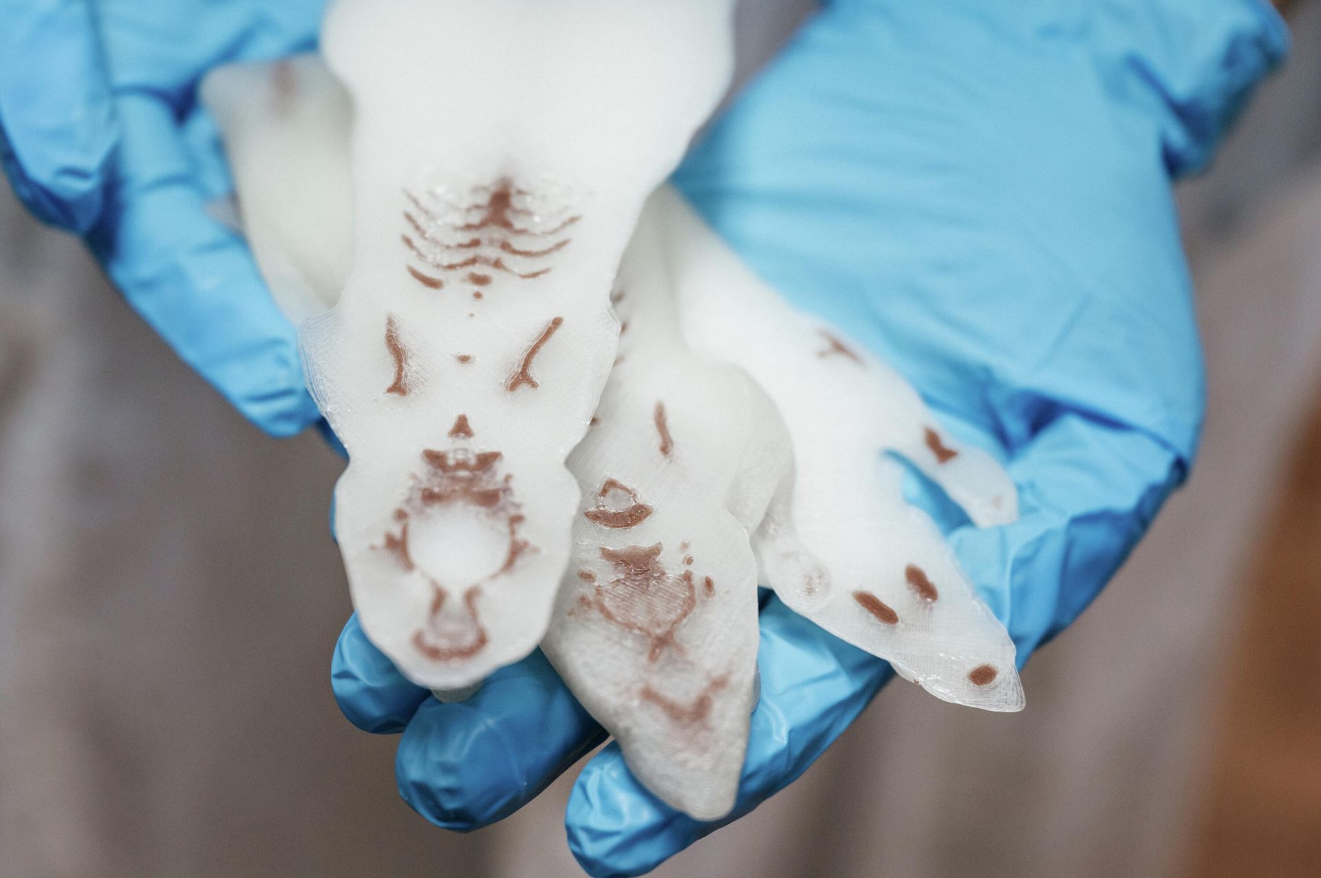 Russian scientists have developed three-dimensional dosimetric phantoms, or models, of lab rats or mice Russian scientists have developed three-dimensional dosimetric phantoms, or models, of lab rats or mice - Sputnik International, 1920, 09.08.2022