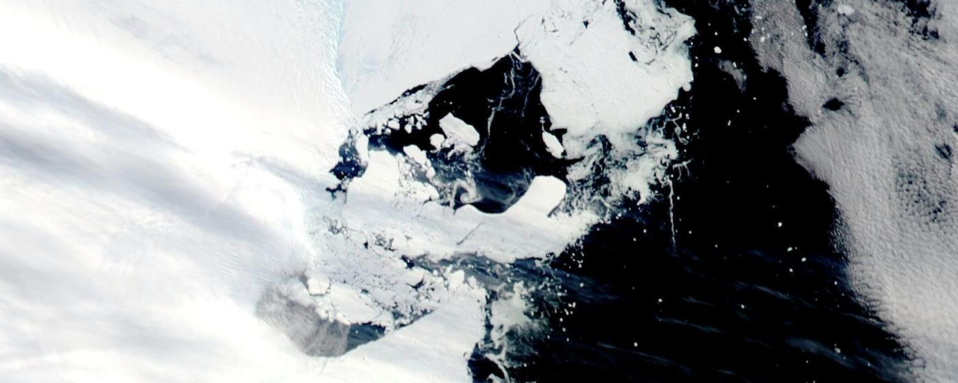 This satellite image provided by NASA shows Aqua MODIS 16 on March 2022, shows C-38 in one piece chasing the main piece of C-37 moving west on the coastal current - Sputnik International, 1920, 12.08.2022