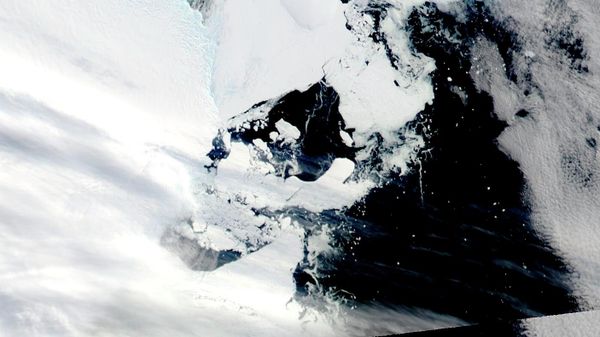 This satellite image provided by NASA shows Aqua MODIS 16 on March 2022, shows C-38 in one piece chasing the main piece of C-37 moving west on the coastal current - Sputnik International
