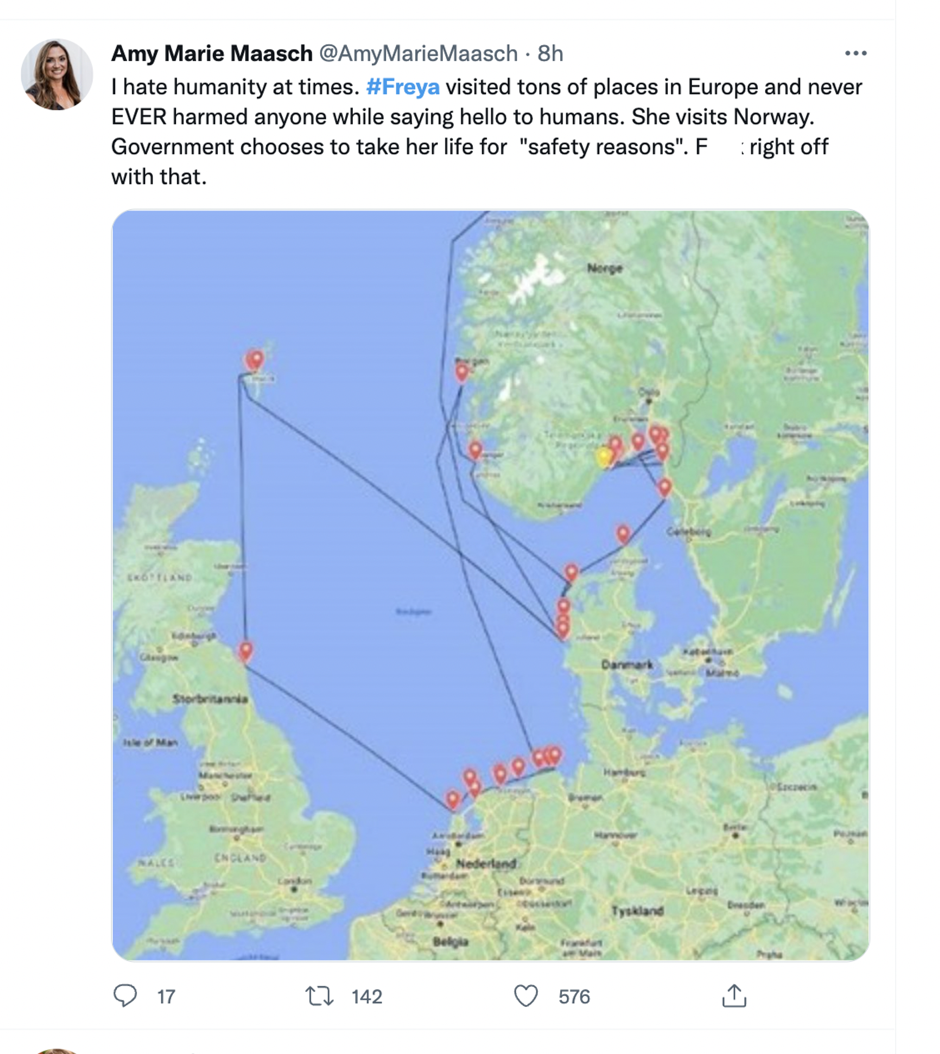Freya the Walrus' travels  - Sputnik International, 1920, 15.08.2022
