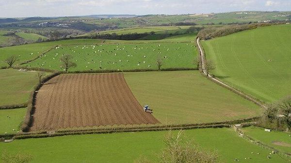  Farming Activities - Sputnik International