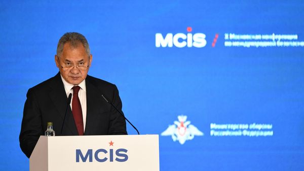 Russian Defense Minister Sergey Shoigu - Sputnik International