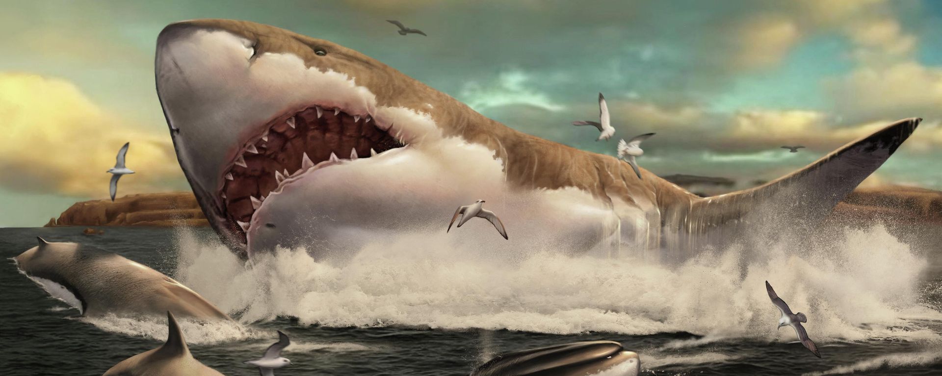 This handout picture released by Metazoa Studio on November 25, 2020, shows an artist's impression of the prehistoric shark Otodus megalodon. This handout picture released by Metazoa Studio on November 25, 2020, shows an artist's impression of the prehistoric shark Otodus megalodon. - Sputnik International, 1920, 20.08.2022