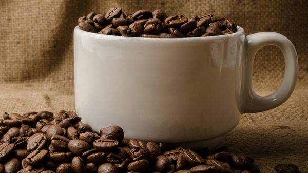 Coffee  - Sputnik International