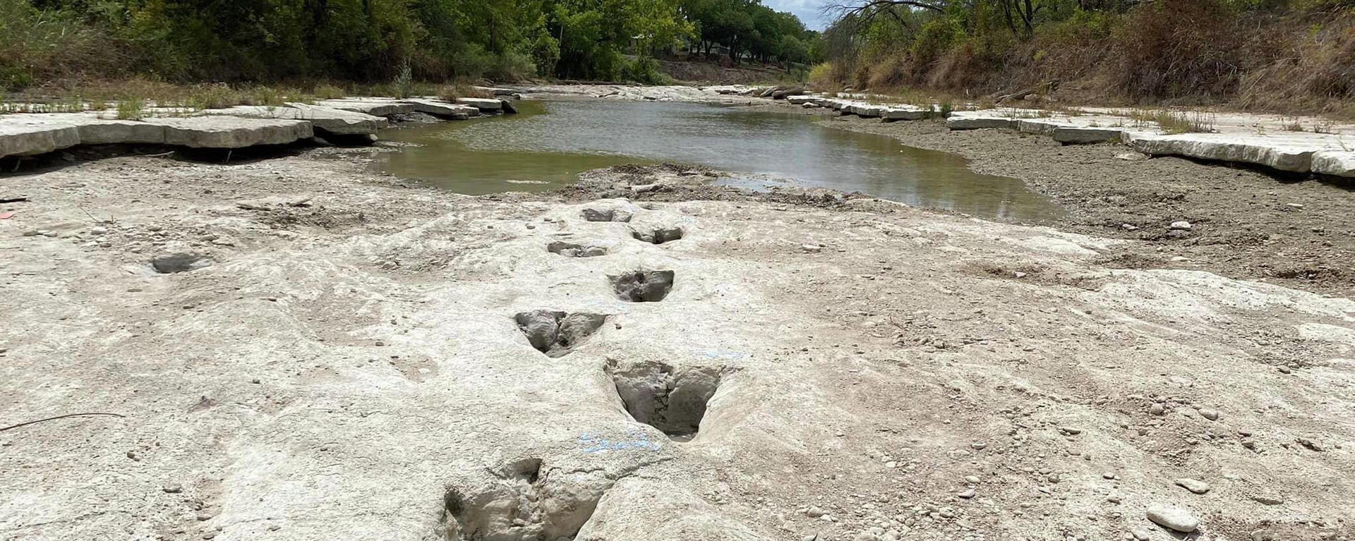 This handout image obtained on August 23, 2022 courtesy of the Dinosaur Valley State Park shows dinosaur tracks from around 113 million years ago, discovered in the Texas State Park after a severe drought conditions that dried up a river This handout image obtained on August 23, 2022 courtesy of the Dinosaur Valley State Park shows dinosaur tracks from around 113 million years ago, discovered in the Texas State Park after a severe drought conditions that dried up a river - Sputnik International, 1920, 24.08.2022