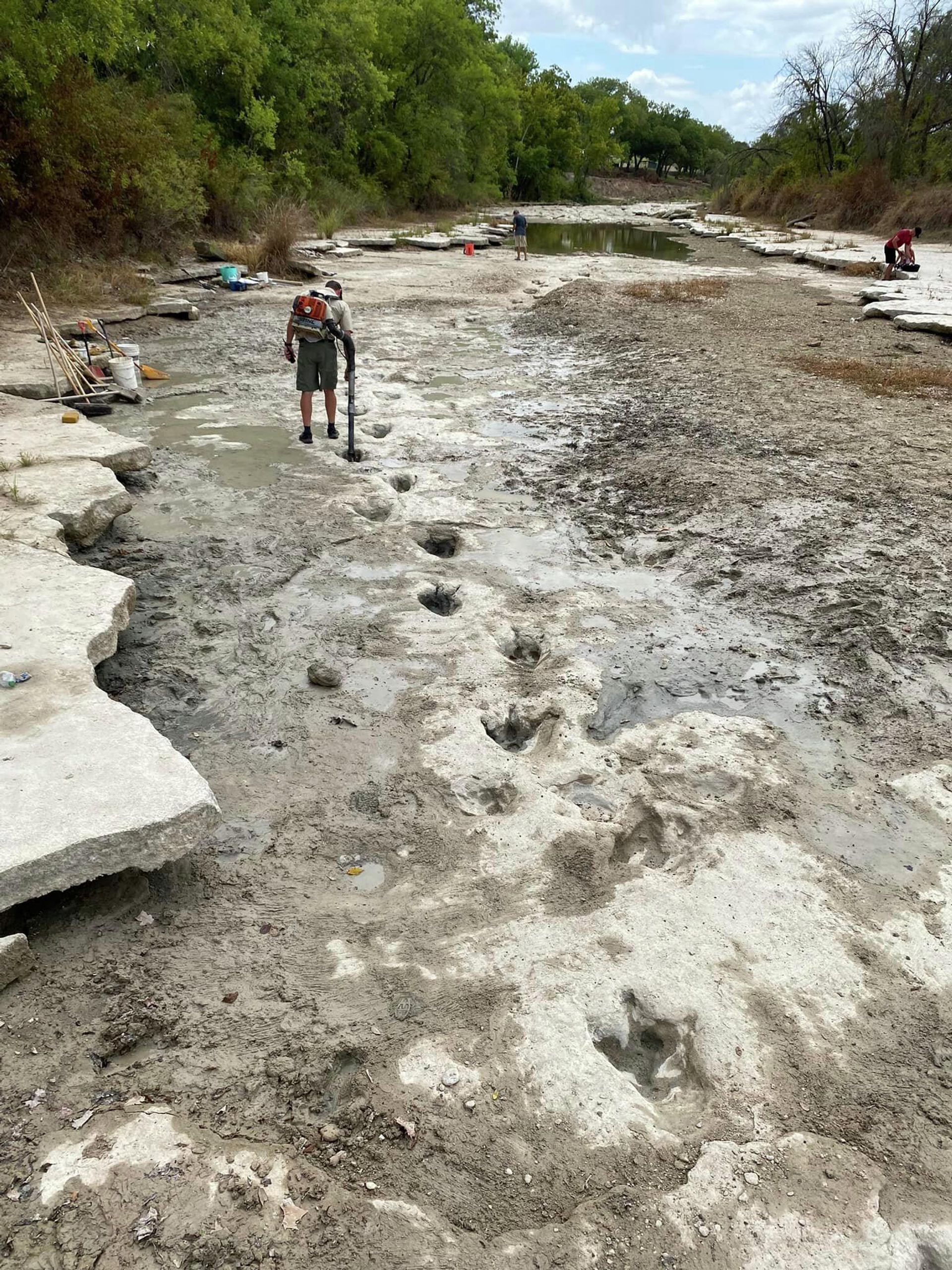 This handout image obtained on August 23, 2022 courtesy of the Dinosaur Valley State Park shows dinosaur tracks from around 113 million years ago, discovered in the Texas State Park after a severe drought conditions that dried up a river This handout image obtained on August 23, 2022 courtesy of the Dinosaur Valley State Park shows dinosaur tracks from around 113 million years ago, discovered in the Texas State Park after a severe drought conditions that dried up a river - Sputnik International, 1920, 25.08.2022