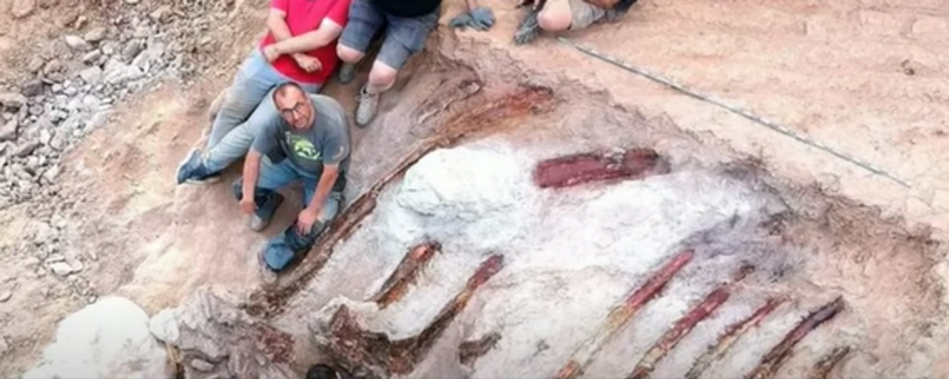 Dinosaur skeleton found in Portugal - Sputnik International, 1920, 27.08.2022
