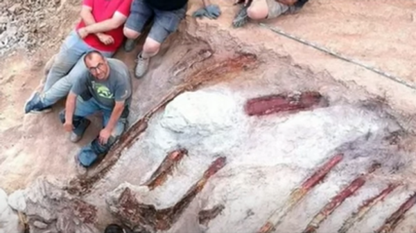 Dinosaur skeleton found in Portugal - Sputnik International