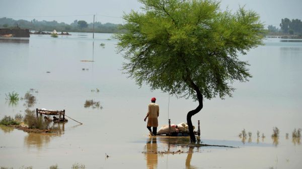 A villager uses cots to save usable items after salvaging from his flood-hit home, in Jaffarabad, a district of Pakistan's southwestern Baluchistan province, Saturday, Aug. 27, 2022. - Sputnik International