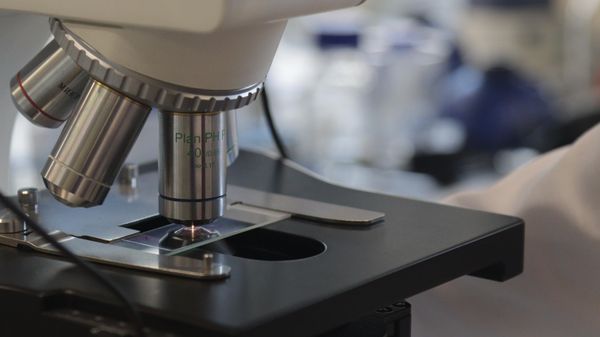 Investigation of luminescent-magnetic structures with MRI contrast properties - Sputnik International