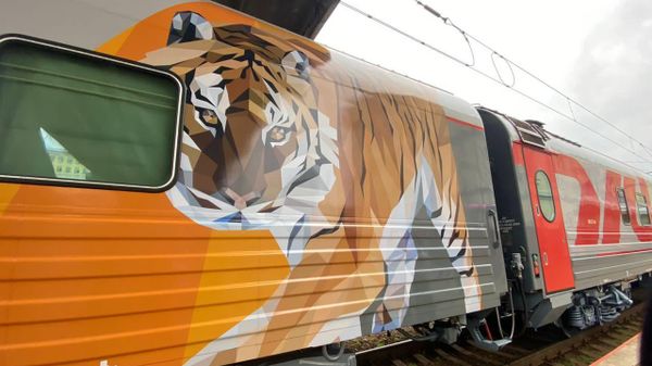 Director of the Roscongress Foundation Alexander Stuglev, Minister of Justice Konstantin Chuichenko and General Director of Russian Railways Oleg Belozerov launched the first striped train on Monday, featuring paintings of tigers. September 5, 2022. Director of the Roscongress Foundation Alexander Stuglev, Minister of Justice Konstantin Chuichenko and General Director of Russian Railways Oleg Belozerov launched the first striped train on Monday, featuring paintings of tigers. September 5, 2022. - Sputnik International