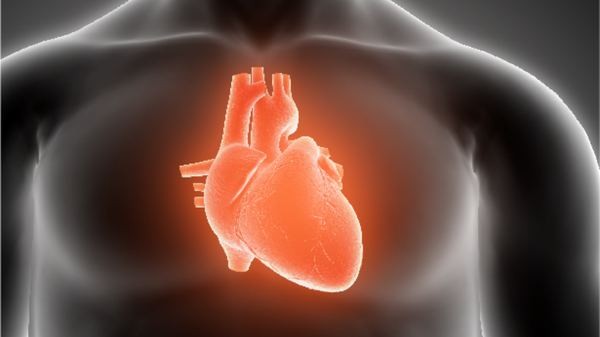 Heart Diseases  - Sputnik International