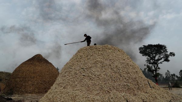 A worker stands on a mound of sugarcane fibre on the outskirts of Bareilly, India, Tuesday, March 23, 2021. - Sputnik International