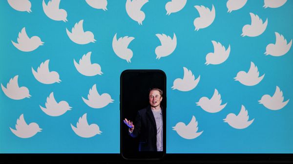 (FILES) This file illustration photo taken on August 5, 2022 shows a cellphone displaying a photo of Elon Musk placed on a computer monitor filled with Twitter logos in Washington, DC.  - Sputnik International