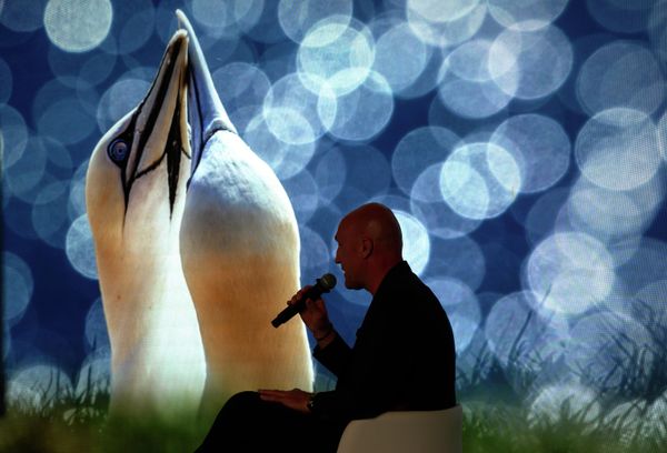 A participant of the Eastern Economic Forum in Vladivostok - Sputnik International