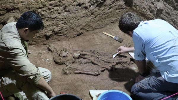 This handout photograph taken on March 1, 2020 and released by Griffith University shows scientists excavating remains dating back some 31,000 years in the Liang Tebo cave in Borneo’s East Kalimantan. - A skeleton discovered in a remote corner of Borneo rewrites the history of ancient medicine and proves amputation surgery was successfully carried out some 31,000 years ago, scientists said September 7, 2022 - Sputnik International