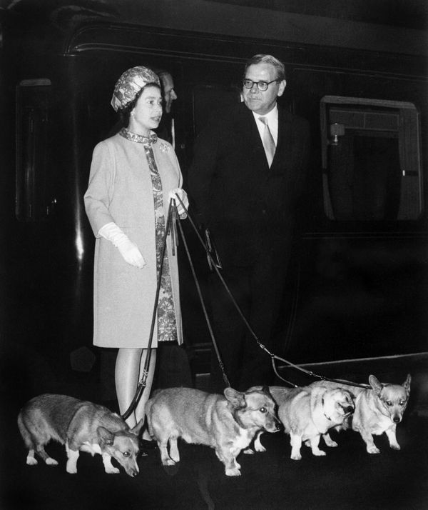 Queen Elizabeth II at King's Cross Station in London with her four corgi dogs. - Sputnik International