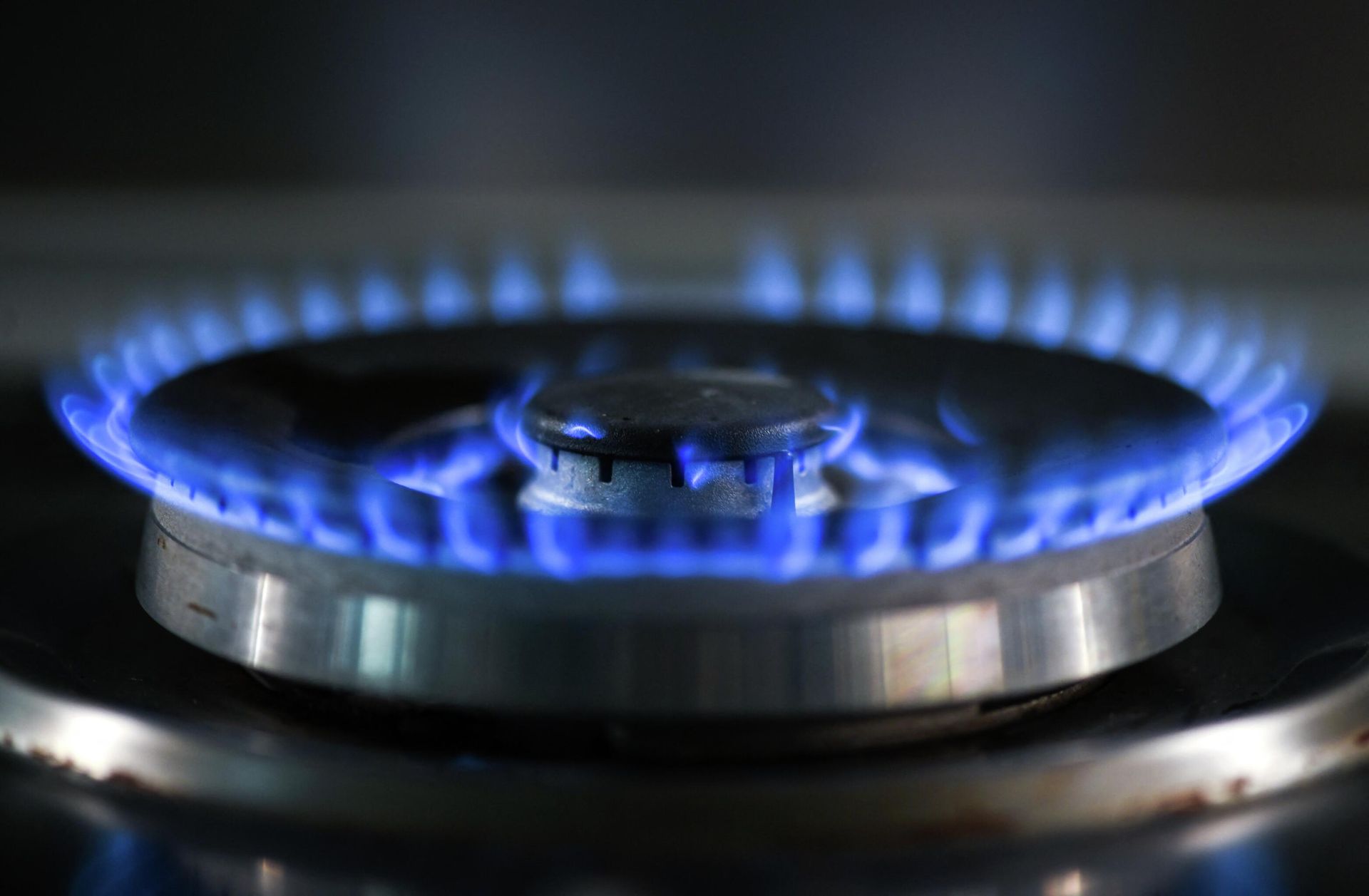 Flames of a lit burner of a gas stove. File photo - Sputnik International, 1920, 13.09.2022
