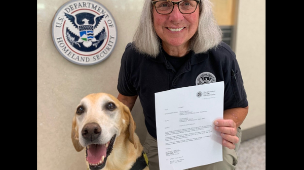 TSA dog Eebbers and his handler, Jean Carney, as they celebrate their retirement - Sputnik International