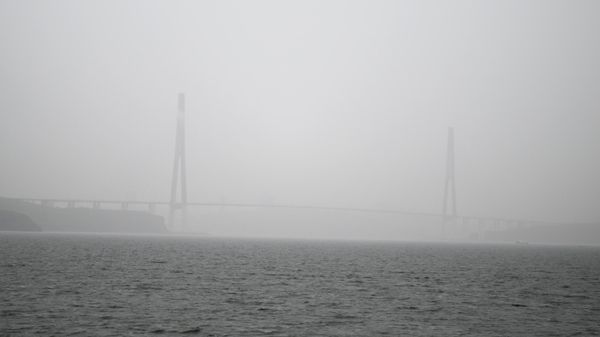 The Russian bridge across the East Bosporus in Vladivostok, where the Eastern Economic Forum is being held. - Sputnik International