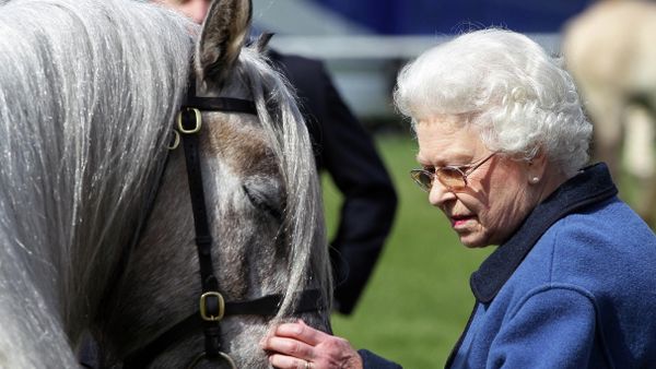 (FILES) In this file photo taken on May 13, 2011 Britain's Queen Elizabeth II strokes one of her horses during the Royal Windsor Horse Show in Windsor, Berkshire. (FILES) In this file photo taken on May 13, 2011 Britain's Queen Elizabeth II strokes one of her horses during the Royal Windsor Horse Show in Windsor, Berkshire. - Sputnik International