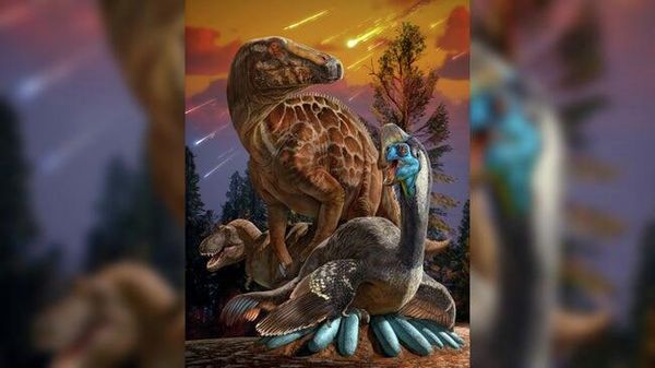 Dinosaurs of Central China during an asteroid impact - Sputnik International