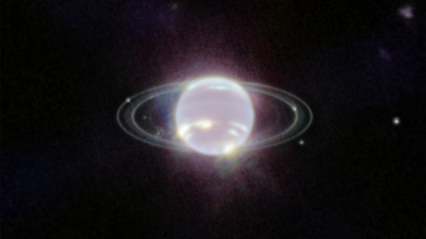 Webb’s Near-Infrared Camera (NIRCam) images objects in the near-infrared range from 0.6 to 5 microns, so Neptune does not appear blue to Webb. - Sputnik International
