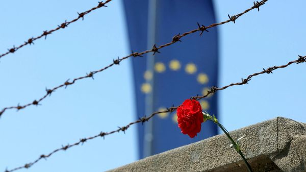 A red carnation is seen in front of a barbed wire fence and an EU flag - Sputnik International
