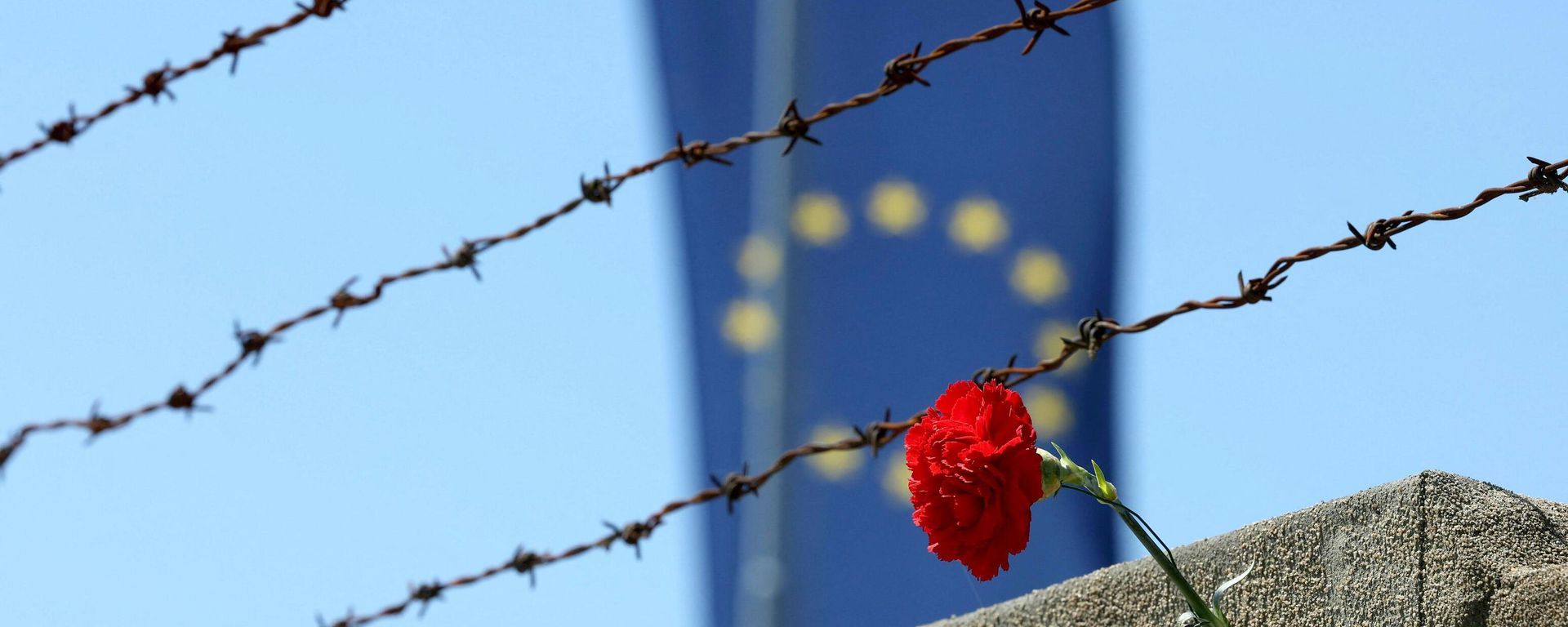 A red carnation is seen in front of a barbed wire fence and an EU flag A red carnation is seen in front of a barbed wire fence and an EU flag - Sputnik International, 1920, 23.09.2022