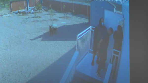 Screenshot from a video showing family of four being taken at gunpoint and kidnapped in California - Sputnik International