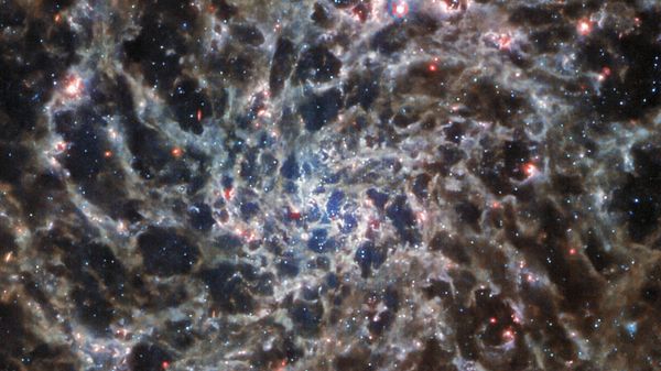 This image released by NASA on Tuesday, Sept. 27, 2022, shows the spiral galaxy IC 5332, captured by the James Webb Space Telescope with its Mid-InfraRed Instrument (MIRI). - Sputnik International