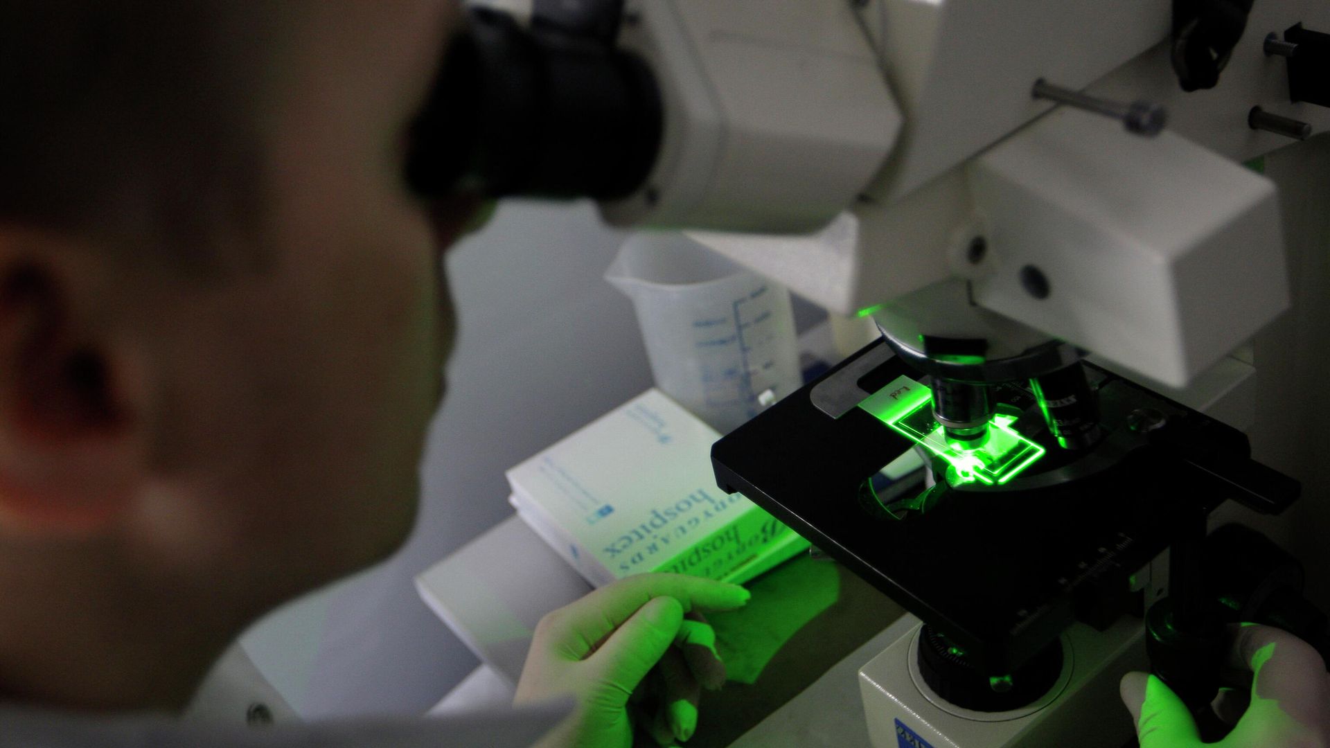 A research team  member looks through a microscope of bacteria use for producing anti-body against malaria at Westminster University in London. - Sputnik International, 1920, 27.05.2023