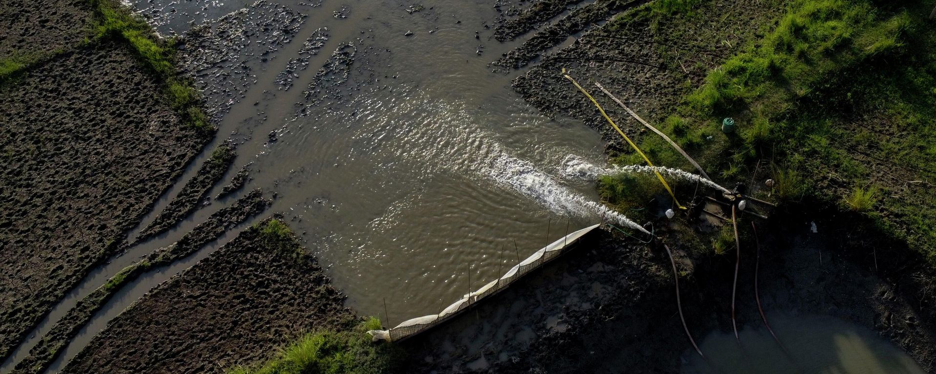A farmer, unseen, irrigates a paddy field on the outskirts of Gauhati, India, Tuesday, Aug. 23, 2022. - Sputnik International, 1920, 11.10.2022