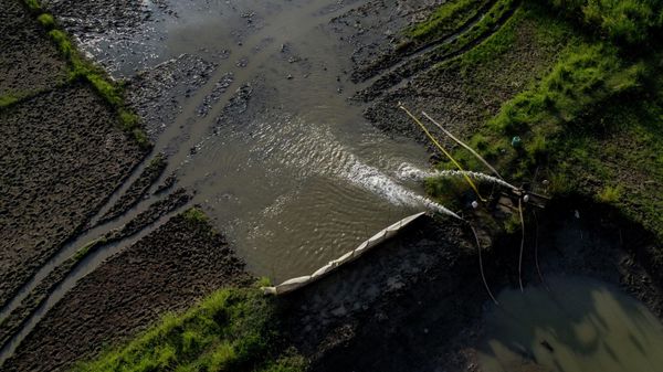 A farmer, unseen, irrigates a paddy field on the outskirts of Gauhati, India, Tuesday, Aug. 23, 2022. - Sputnik International