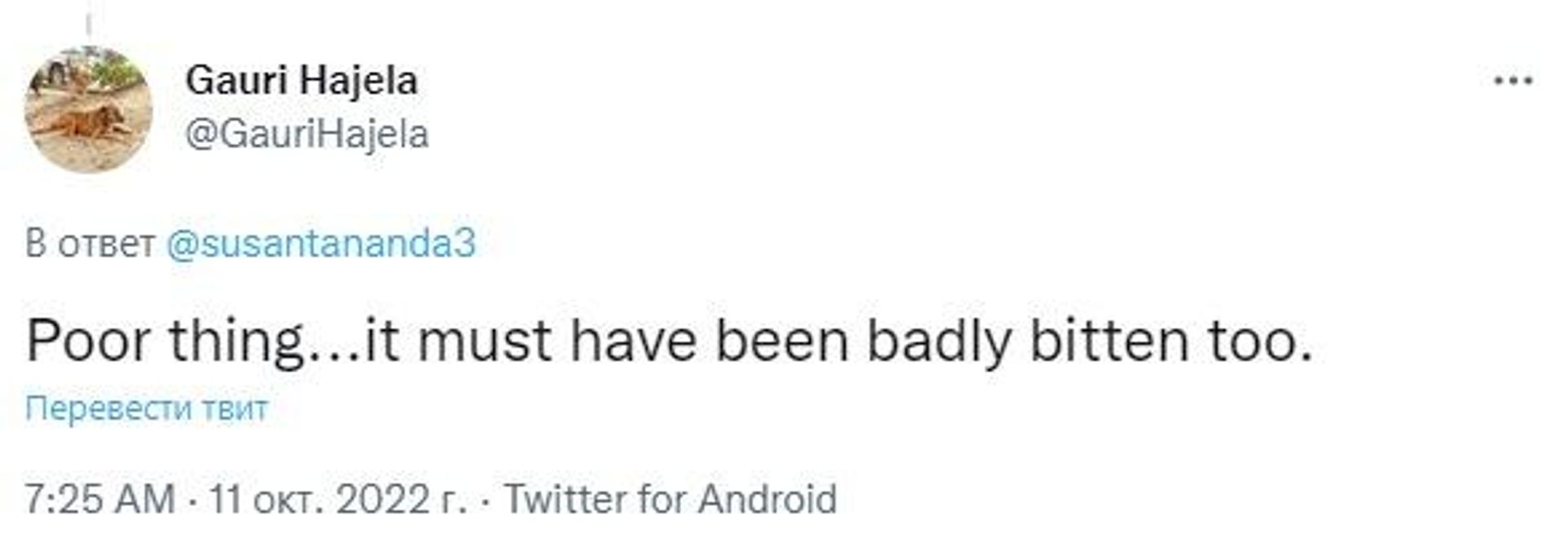 Twitter post - Sputnik International, 1920, 11.10.2022