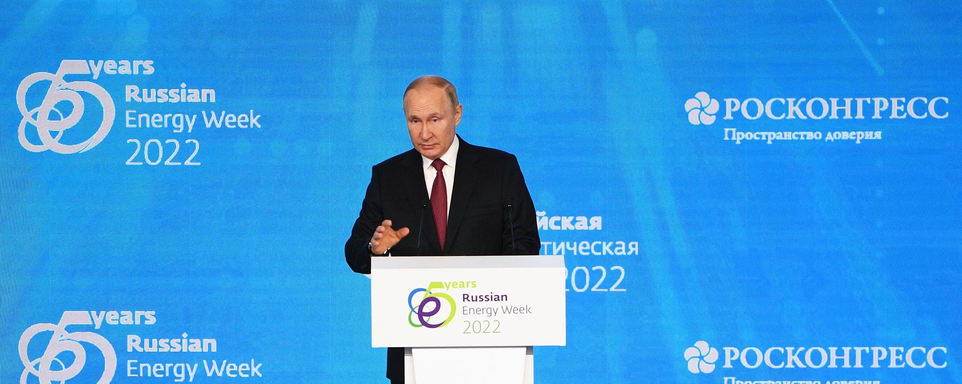 Russian President Vladimir Putin addresses the audience during a plenary session of the Russian Energy Week forum in Moscow - Sputnik International, 1920, 12.10.2022