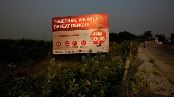 In this Tuesday, Sept. 27, 2016 photo, a giant sized billboard on dengue awareness, a mosquito-borne viral ailments, stands by the side of a road in Gurgaon, on the outskirts of New Delhi, India. - Sputnik International