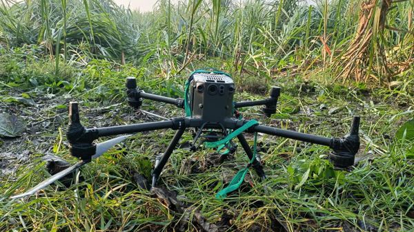 BSF troops shot down a drone that entered India from Pakistan's side along International Border - Sputnik International