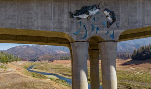 A mural depicting jumping fish adorns a bridge that spans a mostly dry section of Lake Shasta in Lakehead, California, Oct. 16, 2022. - Shasta Lake currently sits at 32% of its capacity as drought conditions persist throughout the west. - Sputnik International